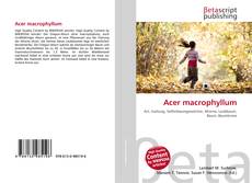 Copertina di Acer macrophyllum