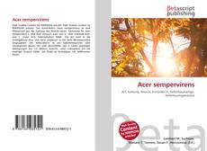 Обложка Acer sempervirens