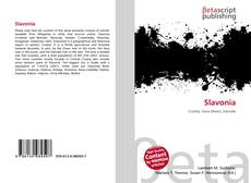 Buchcover von Slavonia