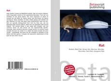 Couverture de Rat