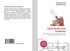 Buchcover von Zadik Barak Levin Syndrome