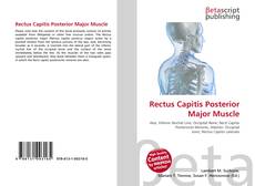 Buchcover von Rectus Capitis Posterior Major Muscle