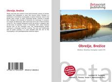 Buchcover von Obrežje, Brežice