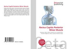 Обложка Rectus Capitis Posterior Minor Muscle
