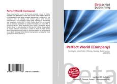 Perfect World (Company)的封面
