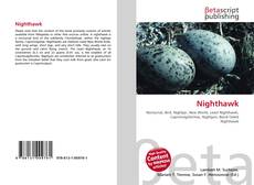 Borítókép a  Nighthawk - hoz