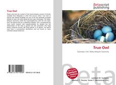True Owl的封面