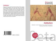 Couverture de Zabbaleen