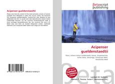 Acipenser gueldenstaedtii的封面