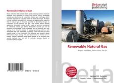Renewable Natural Gas的封面