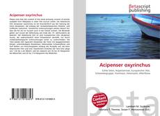 Acipenser oxyrinchus kitap kapağı