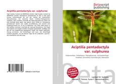 Buchcover von Aciptilia pentadactyla var. sulphurea