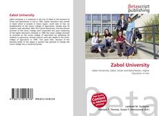 Buchcover von Zabol University
