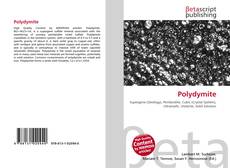 Couverture de Polydymite