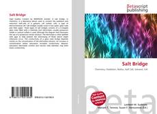 Capa do livro de Salt Bridge 