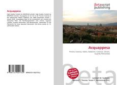 Capa do livro de Acquappesa 