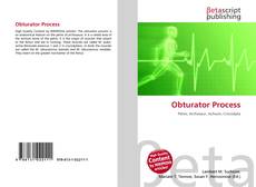 Buchcover von Obturator Process