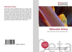 Buchcover von Obturator Artery