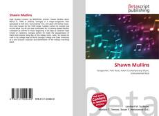 Copertina di Shawn Mullins