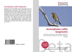 Couverture de Acrocephalus caffer longirostris