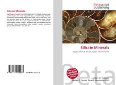 Copertina di Silicate Minerals