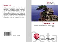 Couverture de Obsidian Cliff