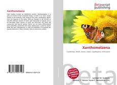Buchcover von Xanthomelaena