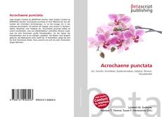 Couverture de Acrochaene punctata