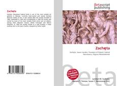 Couverture de Zachęta