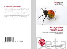 Copertina di Acrognathus mandibularis
