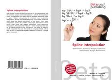 Copertina di Spline Interpolation