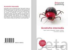 Couverture de Acrotrichis intermedia