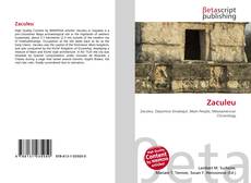 Copertina di Zaculeu