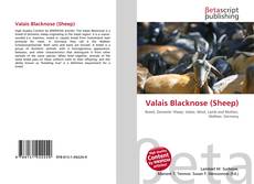 Copertina di Valais Blacknose (Sheep)