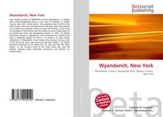 Couverture de Wyandanch, New York