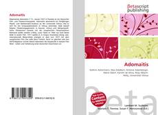 Buchcover von Adomaitis
