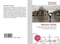 Copertina di Wahneta, Florida