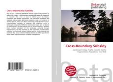 Couverture de Cross-Boundary Subsidy