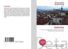 Copertina di Volturino