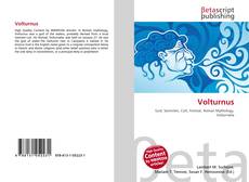 Volturnus kitap kapağı