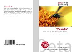 Couverture de ''Volucella''