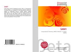 Buchcover von SAM1