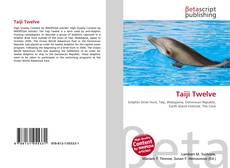 Copertina di Taiji Twelve