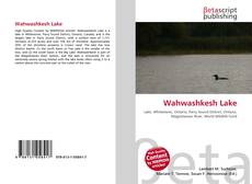 Copertina di Wahwashkesh Lake