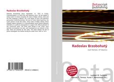 Copertina di Radoslav Brzobohatý