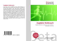Couverture de Zagłębie Wałbrzych