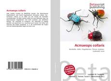 Copertina di Acmaeops collaris
