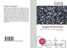 Couverture de Syngas Fermentation