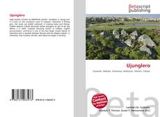 Couverture de Ujunglero