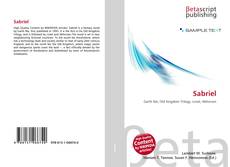 Couverture de Sabriel